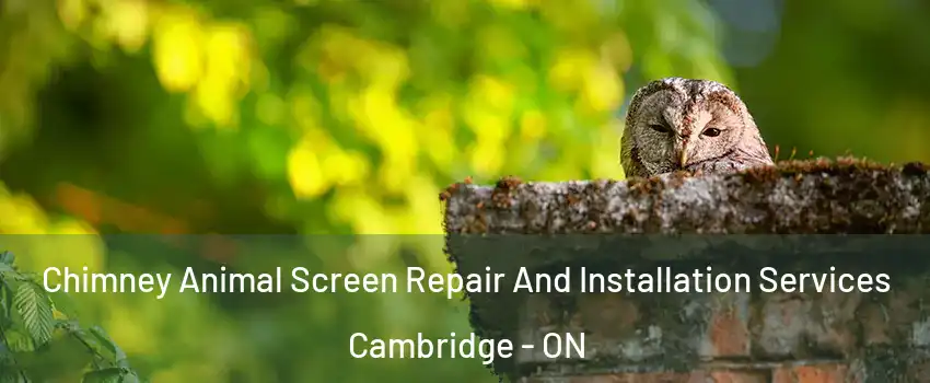  Chimney Animal Screen Repair And Installation Services Cambridge - ON