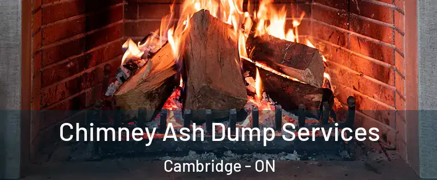  Chimney Ash Dump Services Cambridge - ON