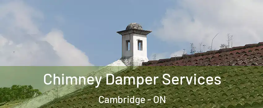  Chimney Damper Services Cambridge - ON
