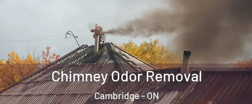  Chimney Odor Removal Cambridge - ON