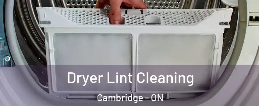  Dryer Lint Cleaning Cambridge - ON