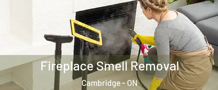  Fireplace Smell Removal Cambridge - ON