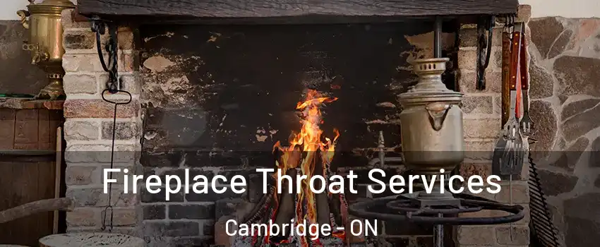  Fireplace Throat Services Cambridge - ON