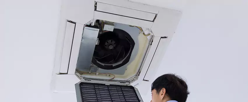 Benefits of Professional Air Duct Cleaning in Cambridge, Ontario