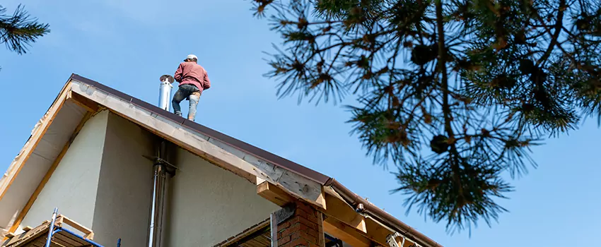 Birds Removal Contractors from Chimney in Cambridge, ON