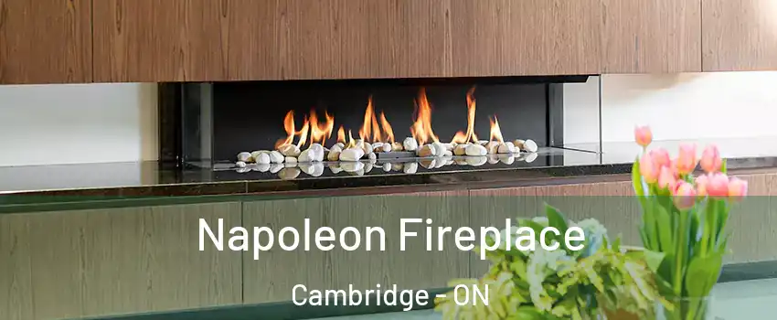  Napoleon Fireplace Cambridge - ON